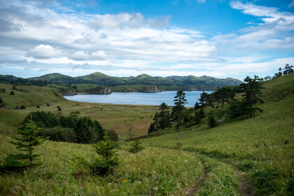 Фотография автора Александр Домнин