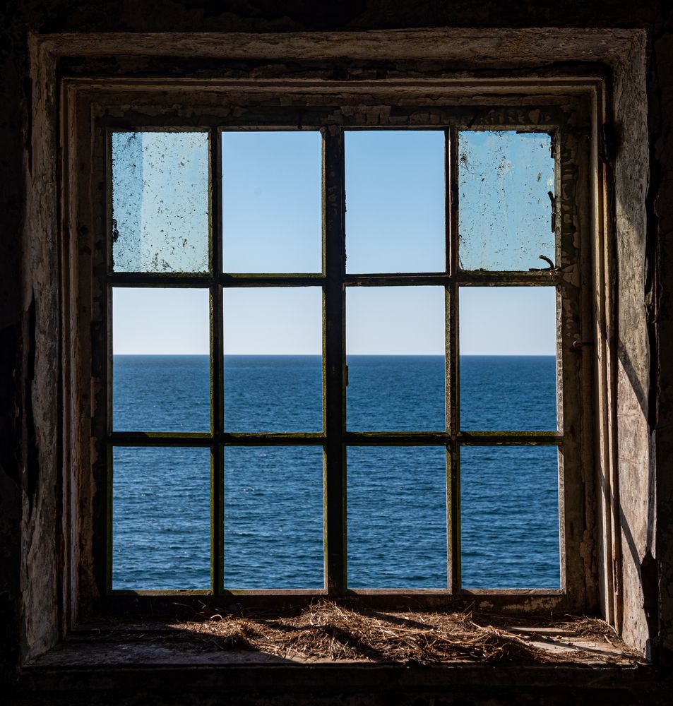 Фотография автора Александр Домнин