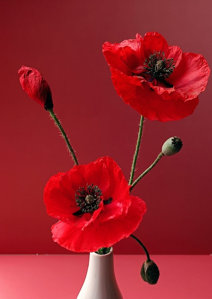 Photograph by Наталья Шумилова