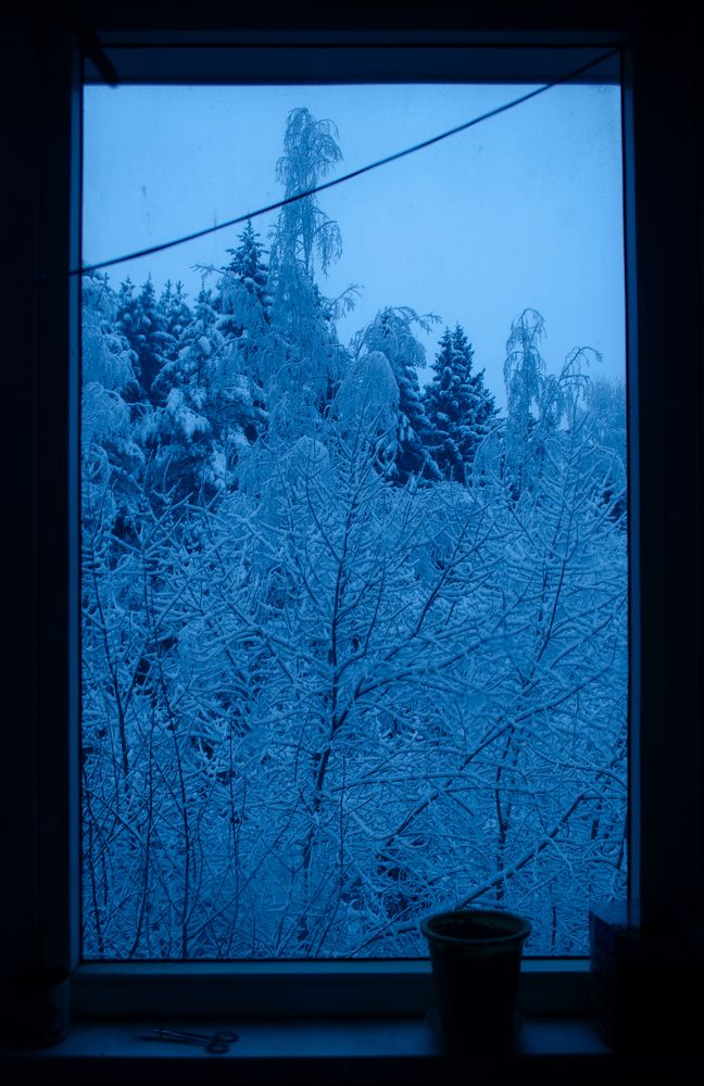 Фотография автора Александр Домнин