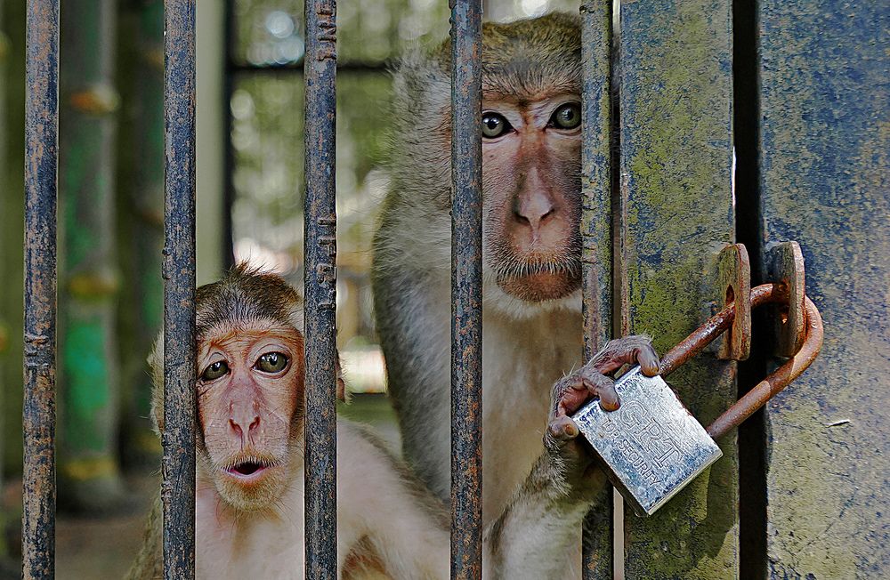 Photograph by arif widodo al azis