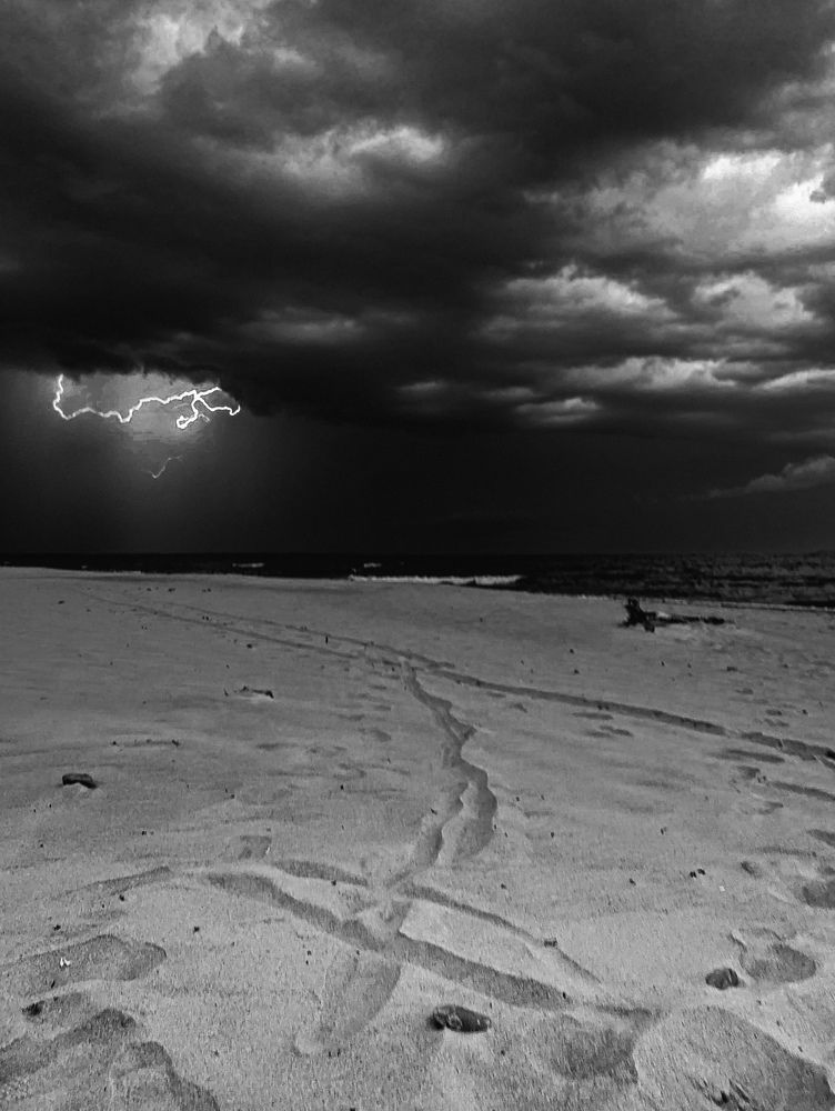 Фотография автора Ксения Шляйхер