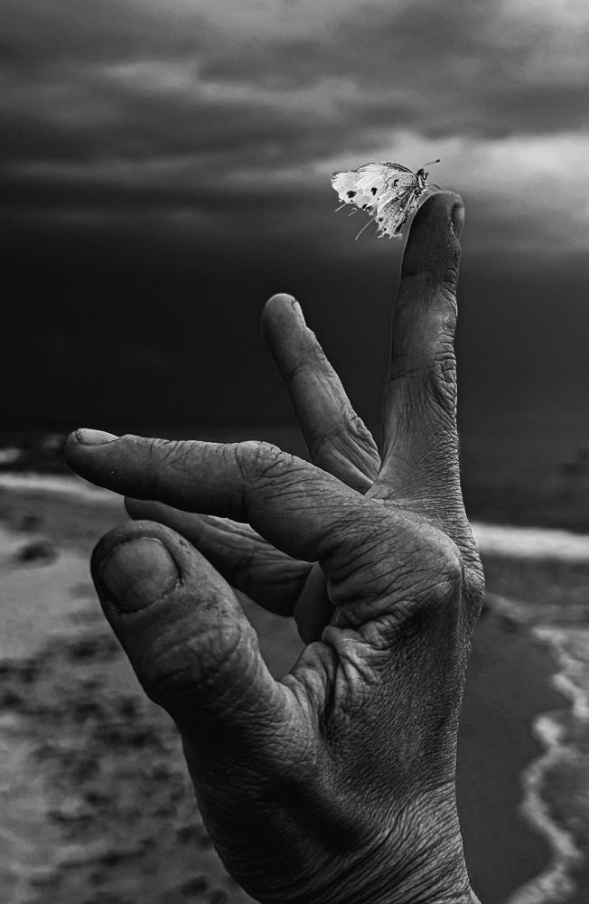 Фотография автора Ксения Шляйхер