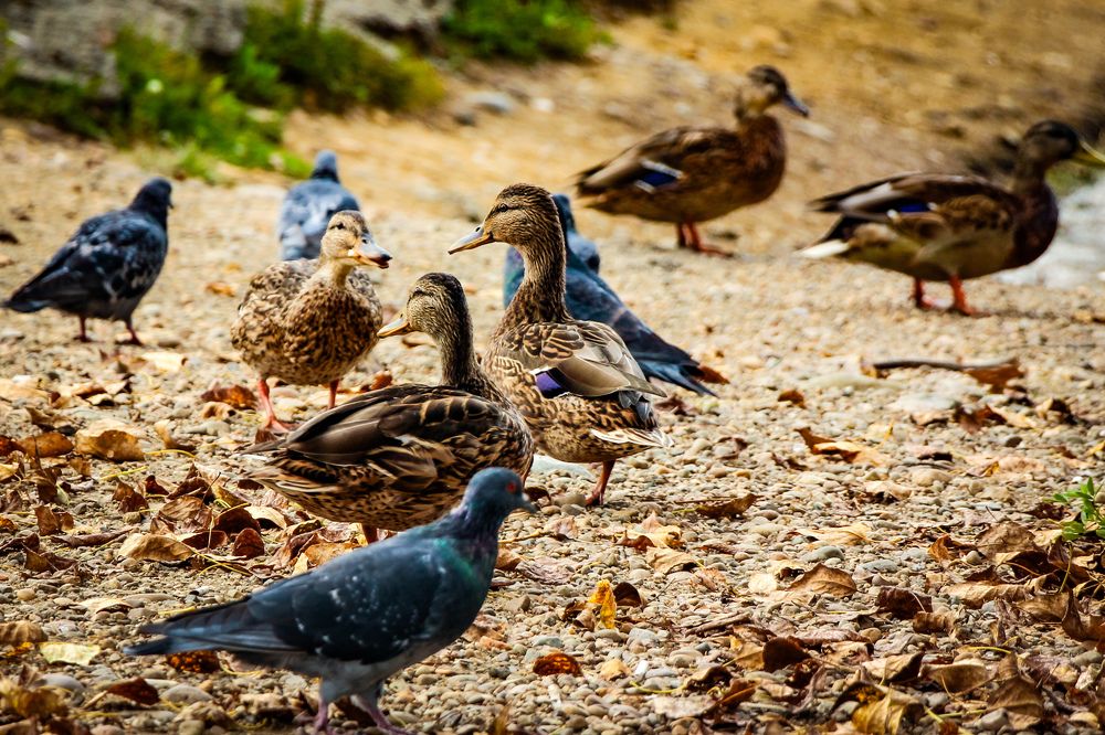 Photograph by Владимир Сушкин