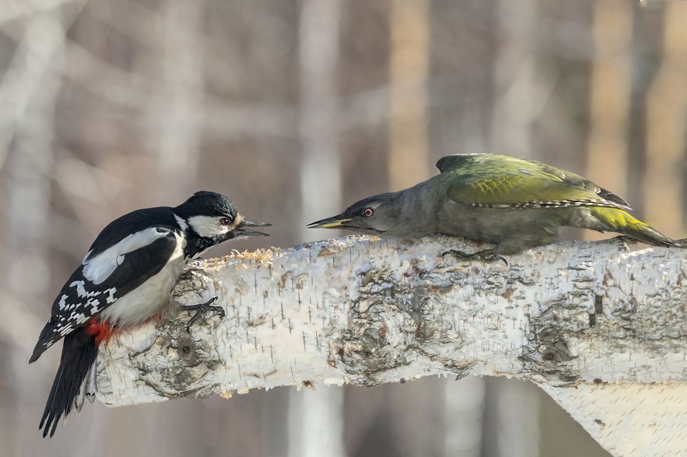 Кто кого пересмотрит...