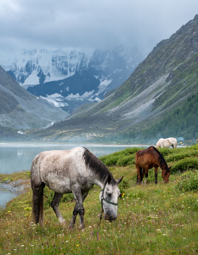 Фотография автора Александр Домнин