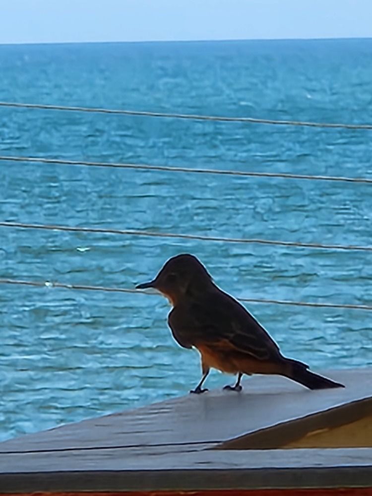 Photograph by Juliana