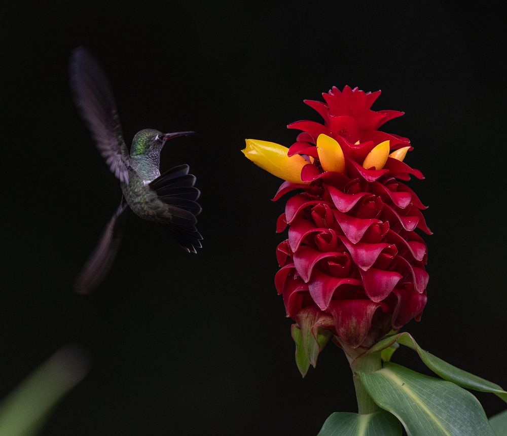 Photograph by Alberto Camardiel