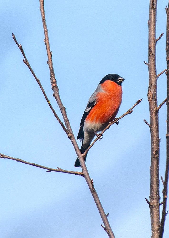 Photograph by Сиваков Алексей