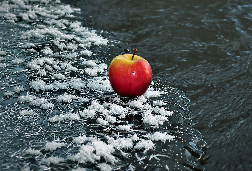 Photograph by Сиваков Алексей