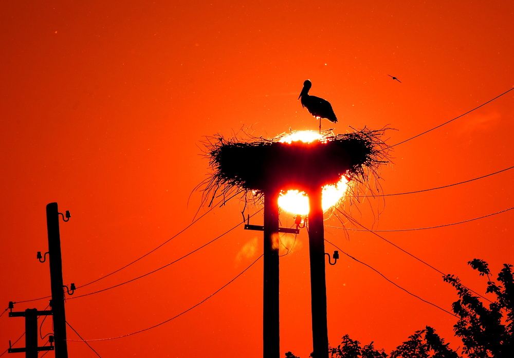 Фотография автора Сиваков Алексей