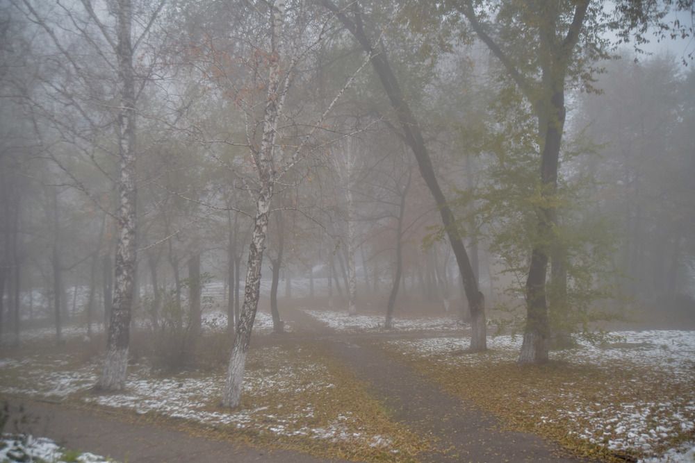 Photograph by Наталья Сорокина