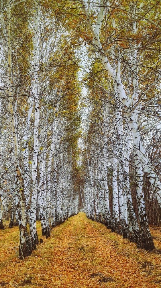 Photograph by Марина Мальцева