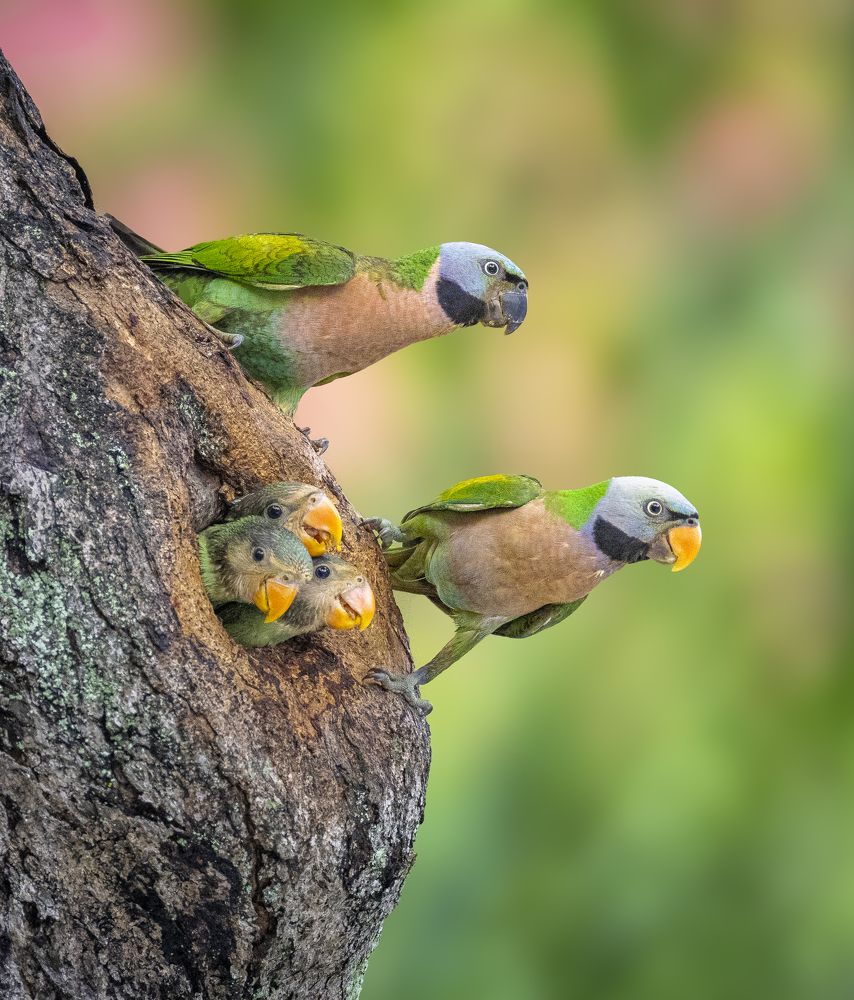 Photograph by Torres