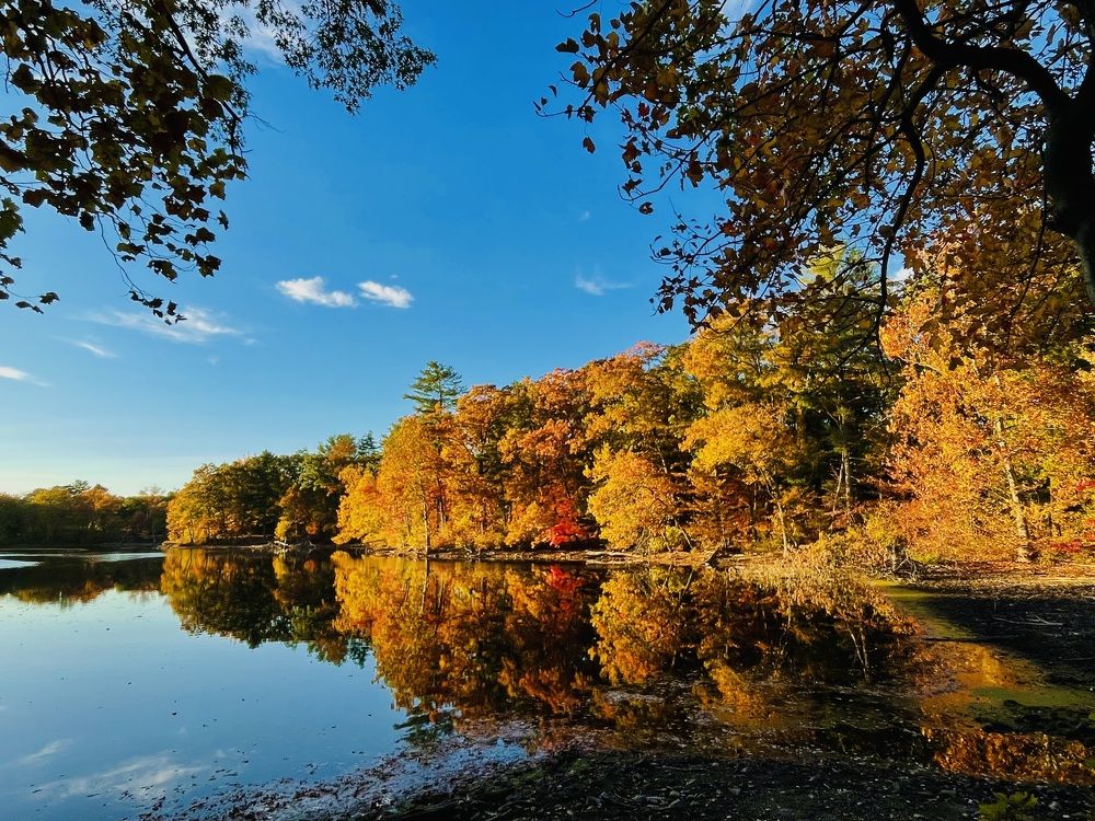 Фотография автора Olga Andriuc