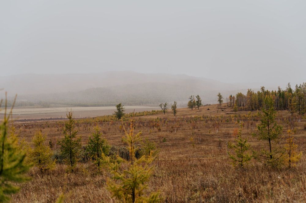 Photograph by Надежда Преминина