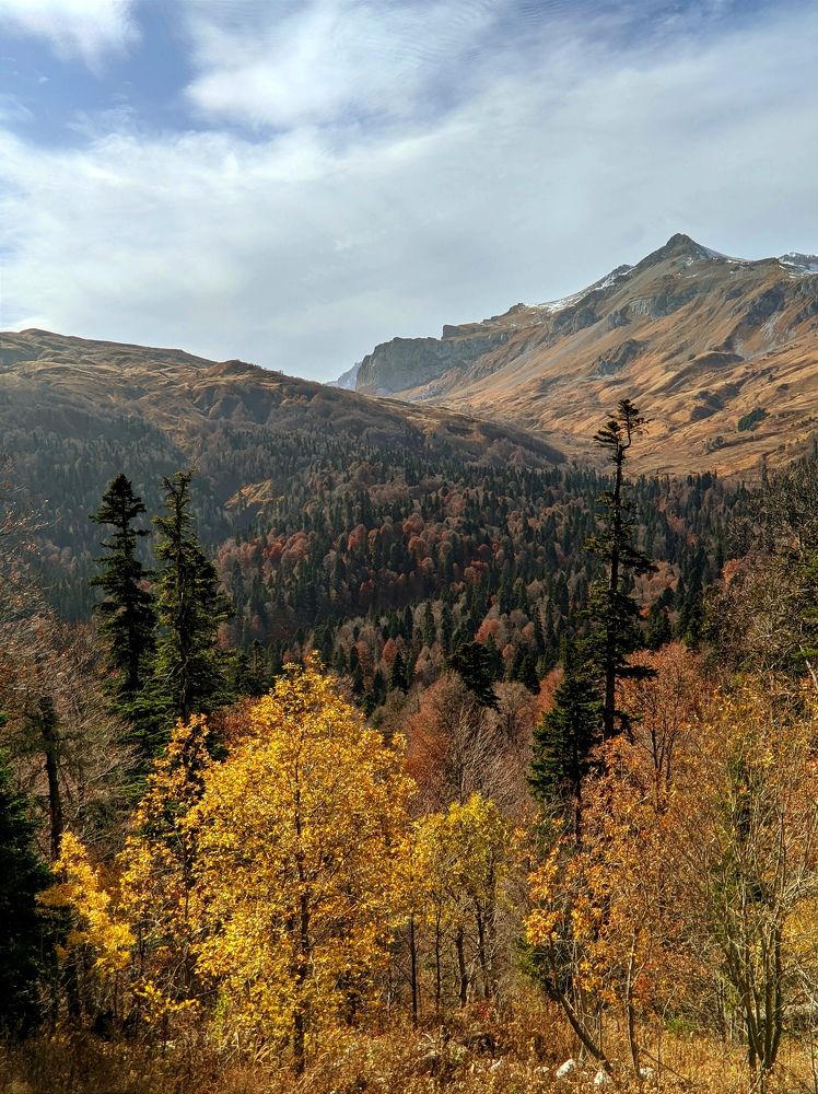 Фотография автора Андрей Павловский
