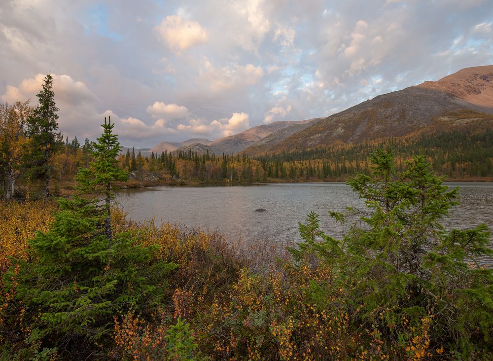 Photograph by Елена Хорохорина