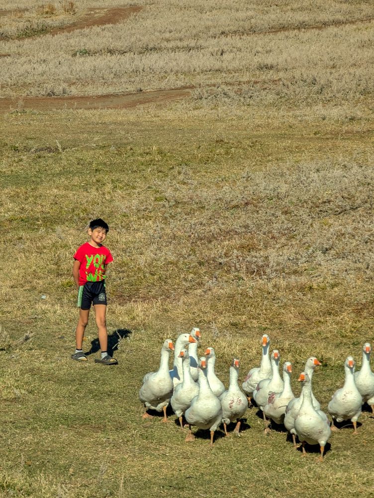 Photograph by Ишниязов Марсель