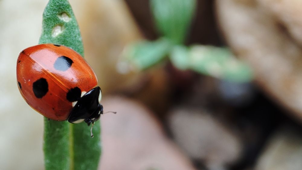 Photograph by Калюнова Наталья