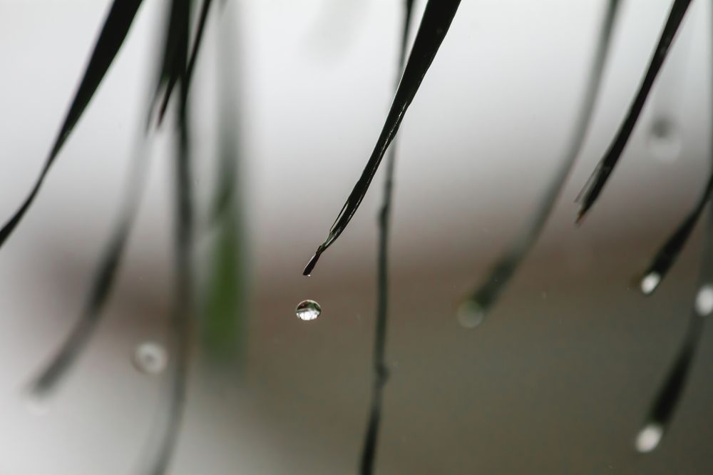 Photograph by Ксения Супрун