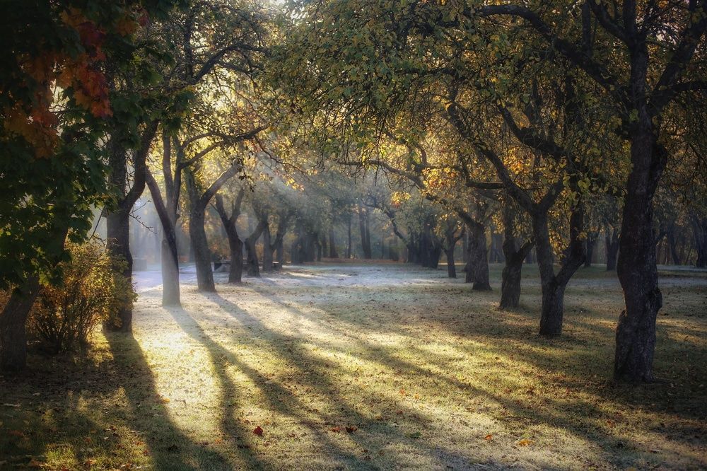 Photograph by Leanid Kulpo