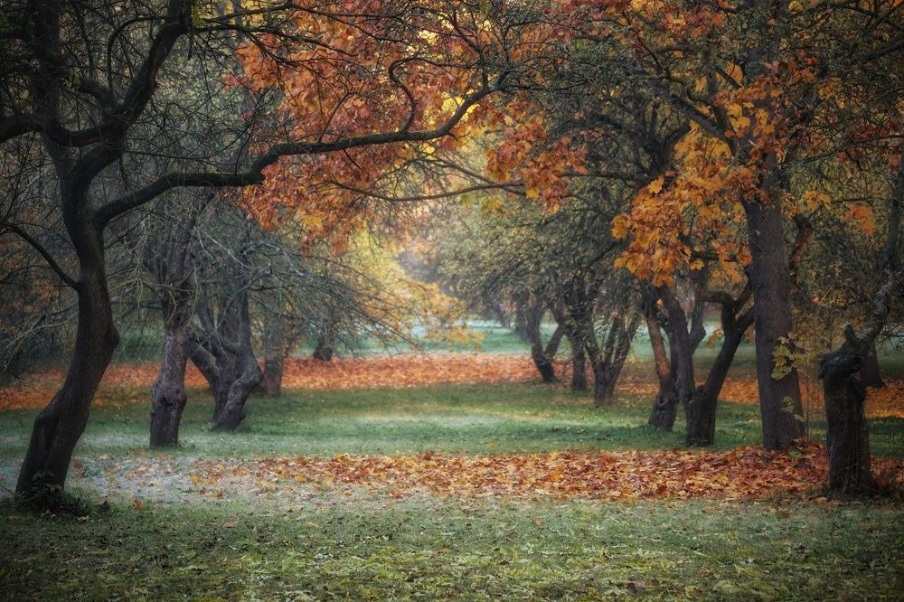 Photograph by Leanid Kulpo