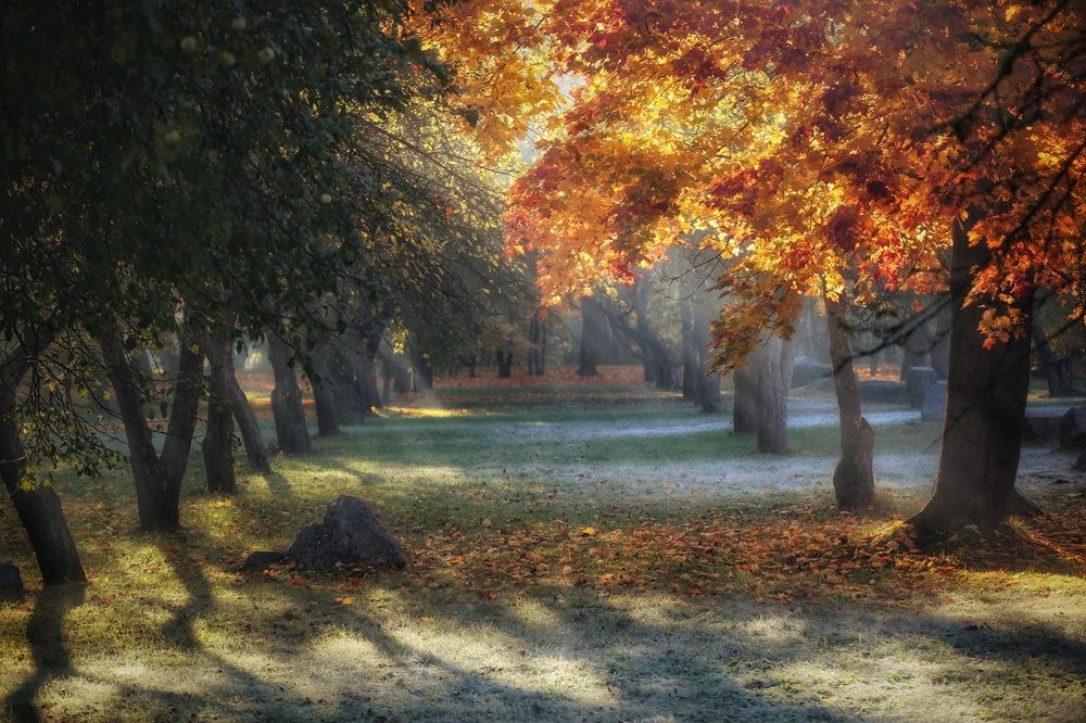 Photograph by Leanid Kulpo