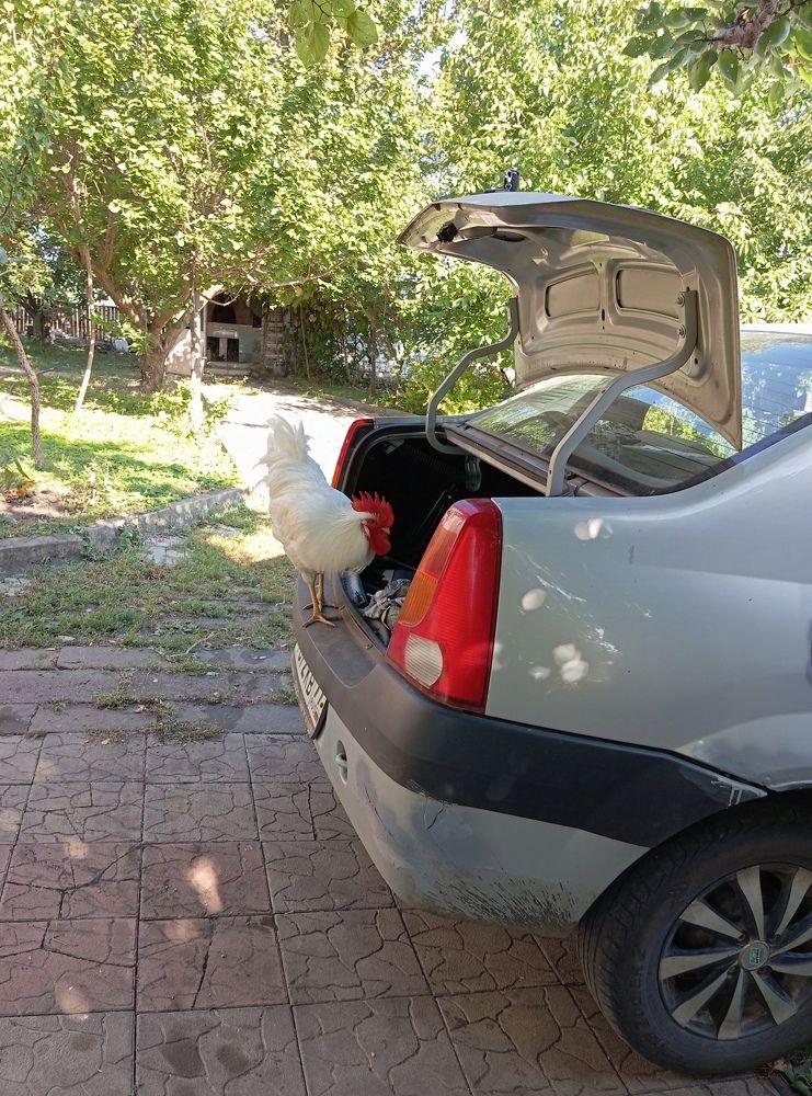 Photograph by Елена Коробченко