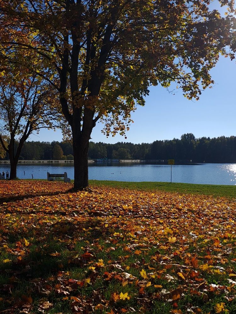 Прощальная краса