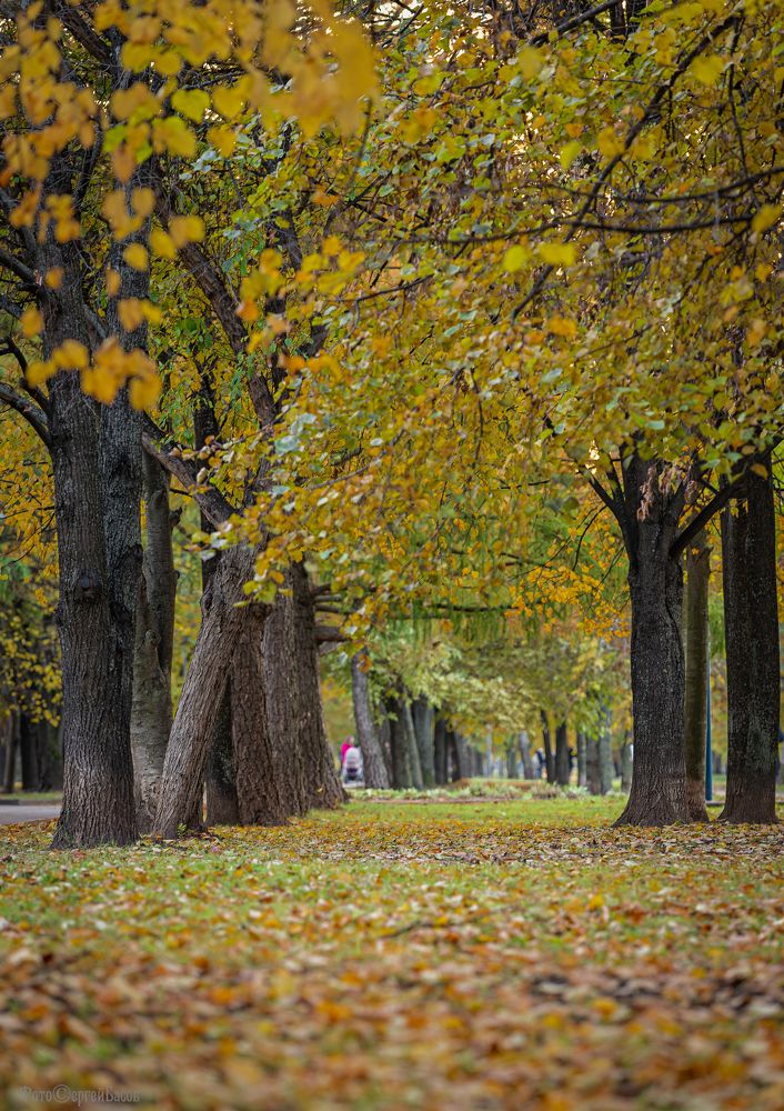 Photograph by Сергей Басов