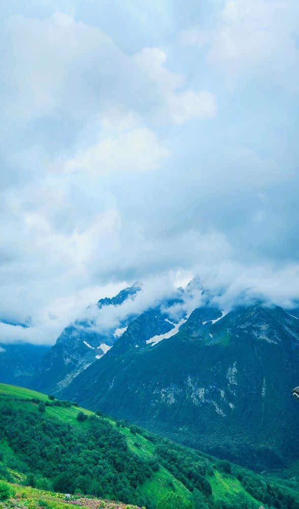 Photograph by Speed Girl