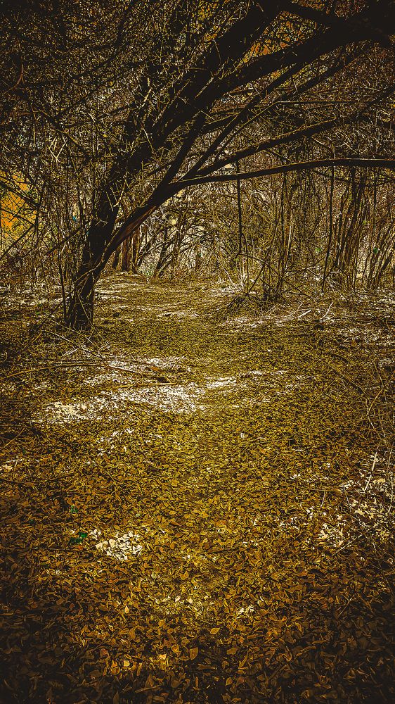 Photograph by Ricardo Patrese