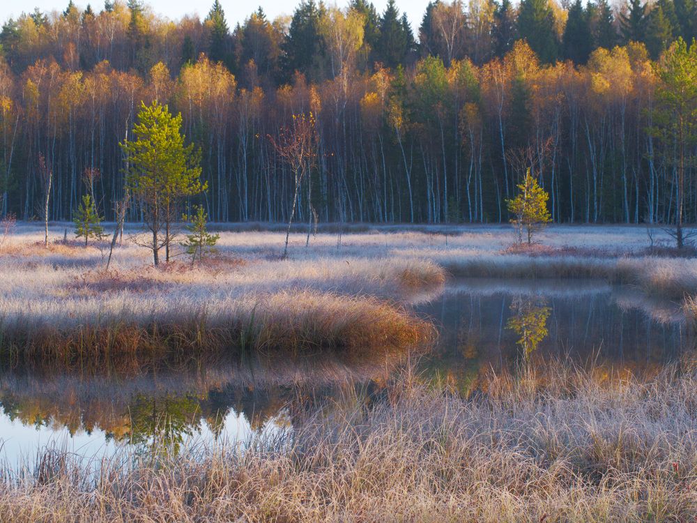 Photograph by Алексей Поляков