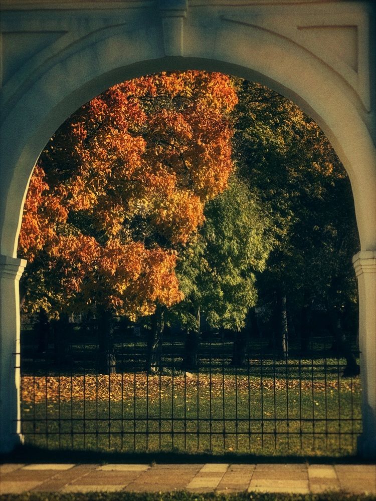 Фотография автора Дарья Викторова