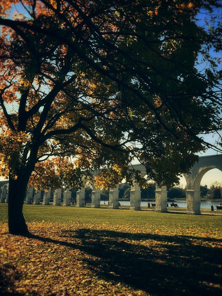 Фотография автора Дарья Викторова
