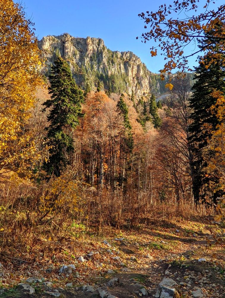 Фотография автора Андрей Павловский