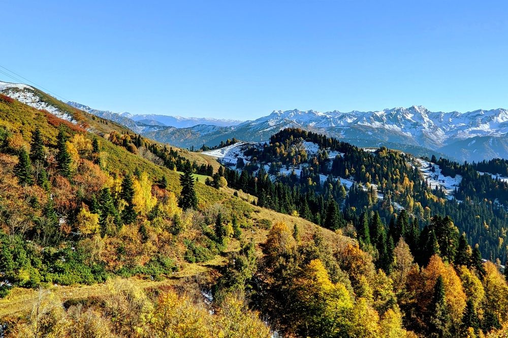 Фотография автора Андрей Павловский