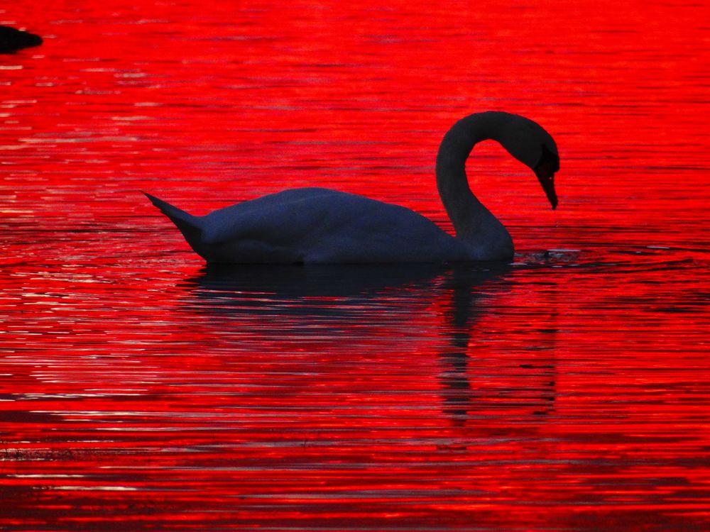 Фотография автора Jevgeni Filimonov