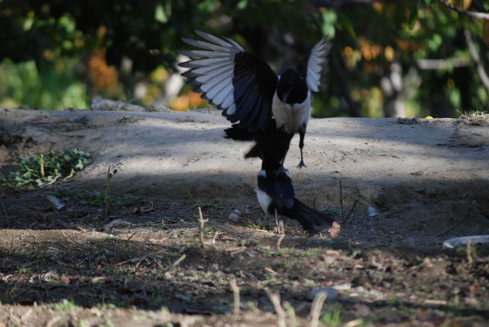 Photograph by Ishaq Karim