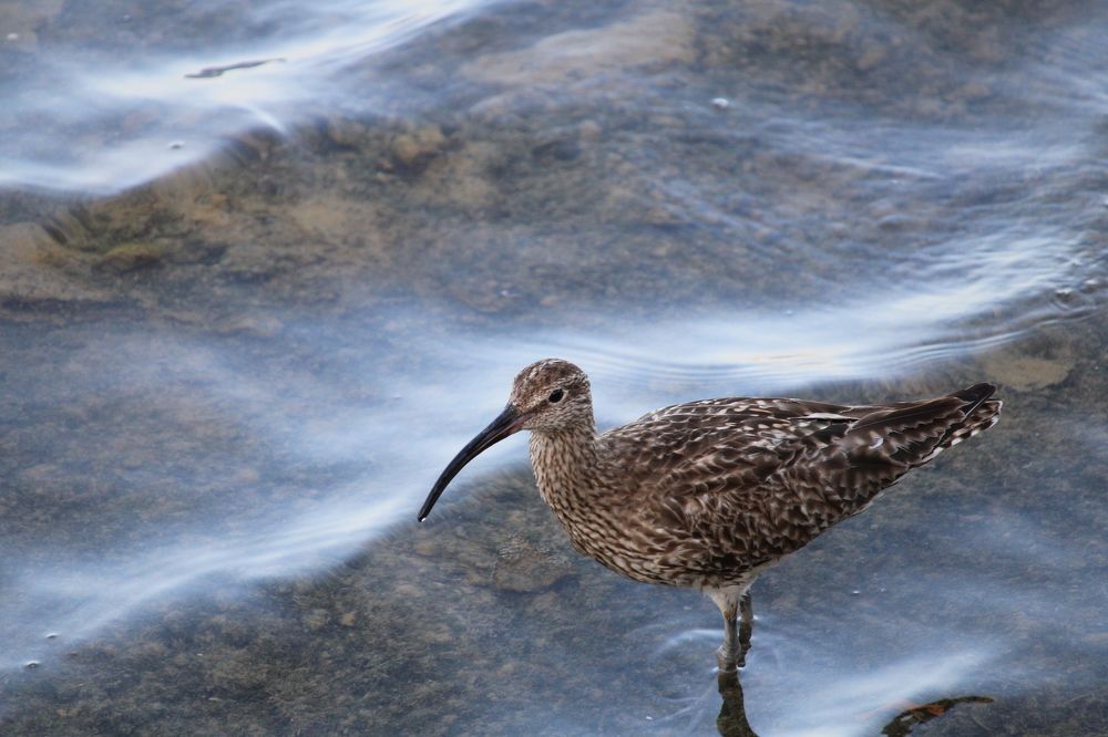 Фотография автора Nieves Gloria Alvarez Diaz