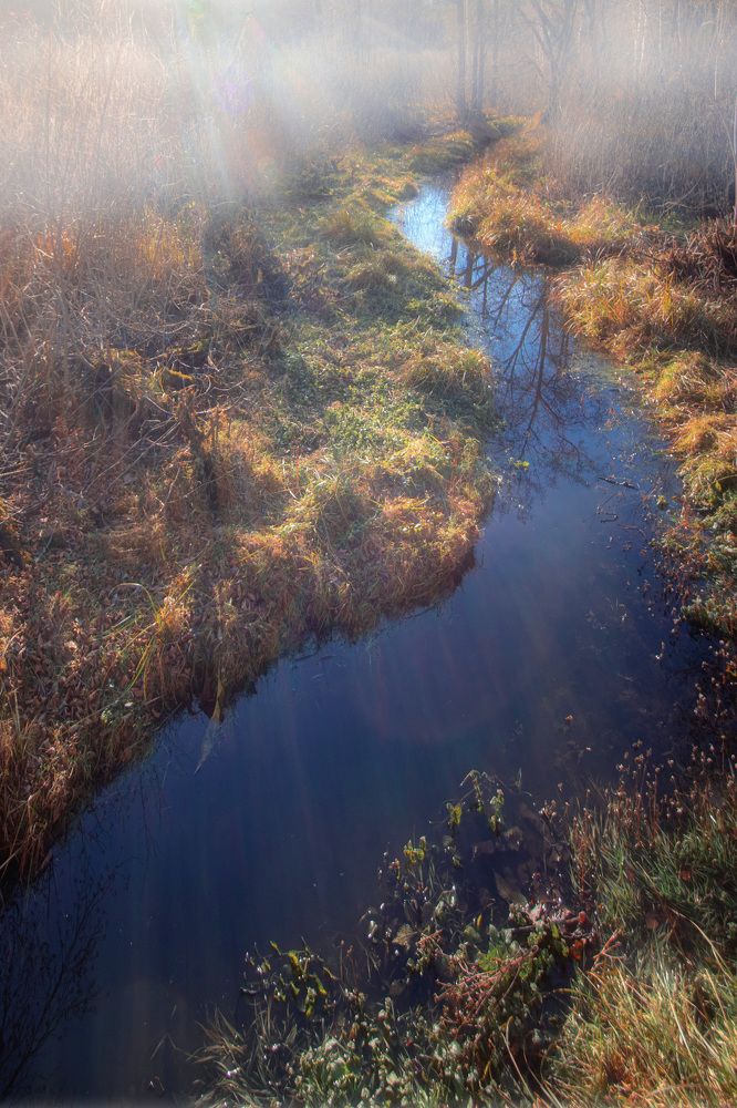 Photograph by Vitaly Lapin