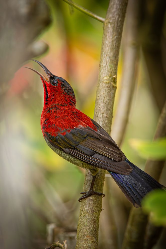 Photograph by Алексей