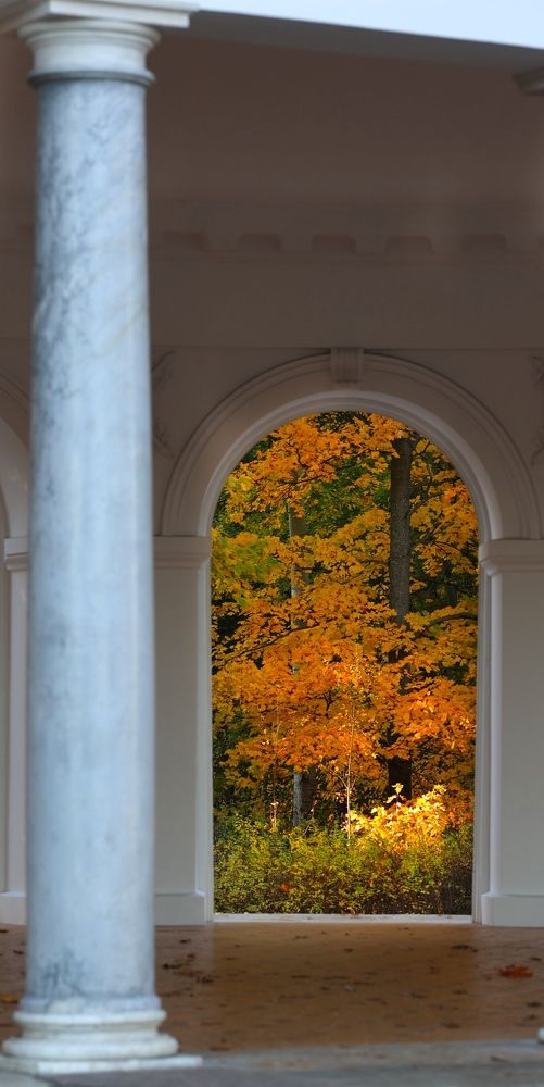 Фотография автора Alina Efimova