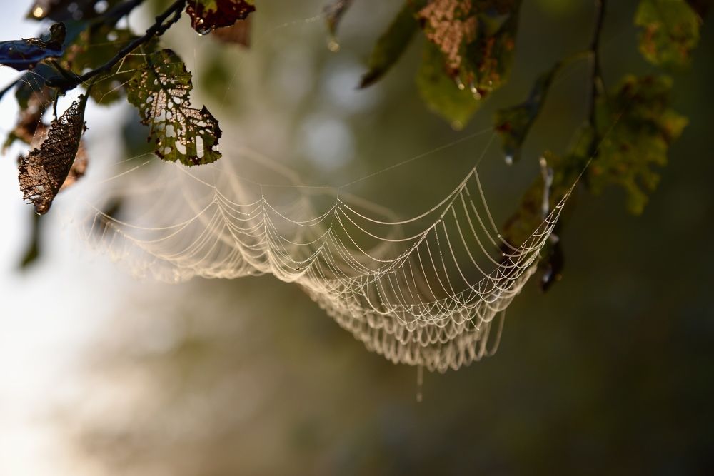 Photograph by Ольга Струкалина