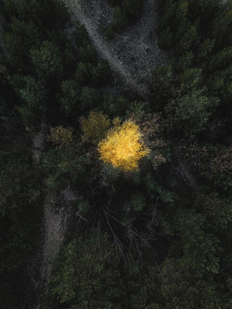 Photograph by Konstantin Martynov