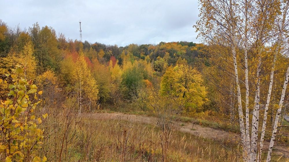 Фотография автора Ганина Галина