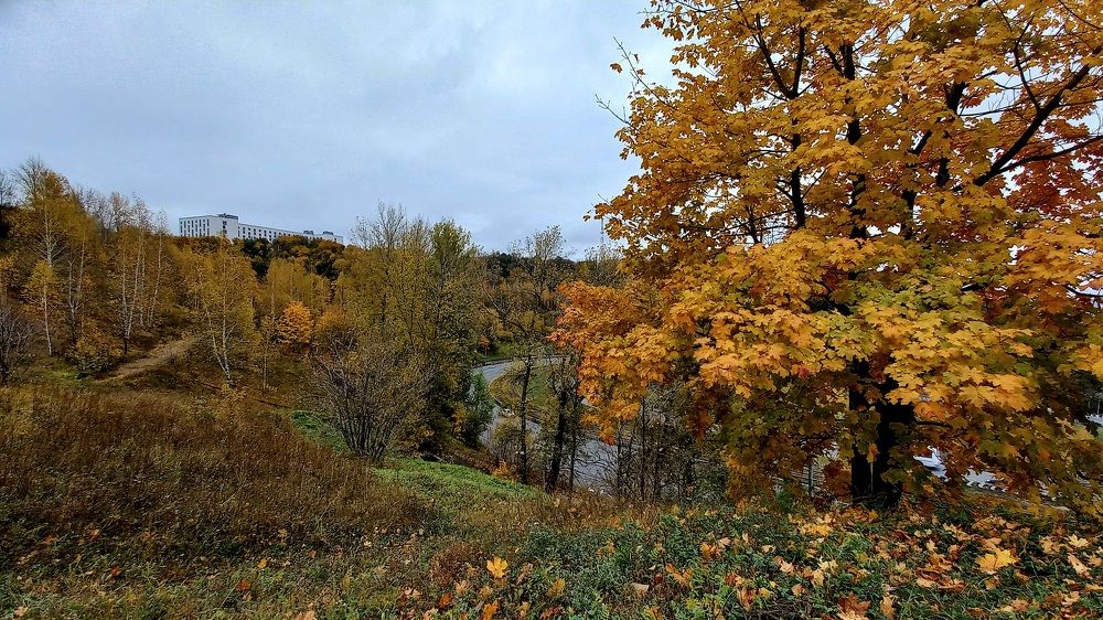 Фотография автора Ганина Галина