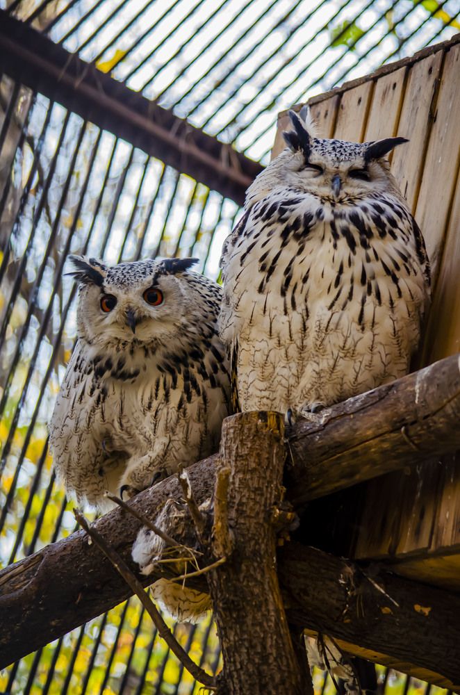 Photograph by Юлиана Иванова