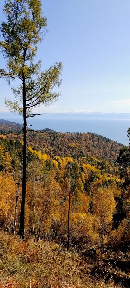 Photograph by Ирина Корнева